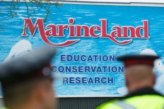 Le parc Marineland Canada se trouve près des chutes du Niagara (archives). KEYSTONE/AP/Alex Lupul